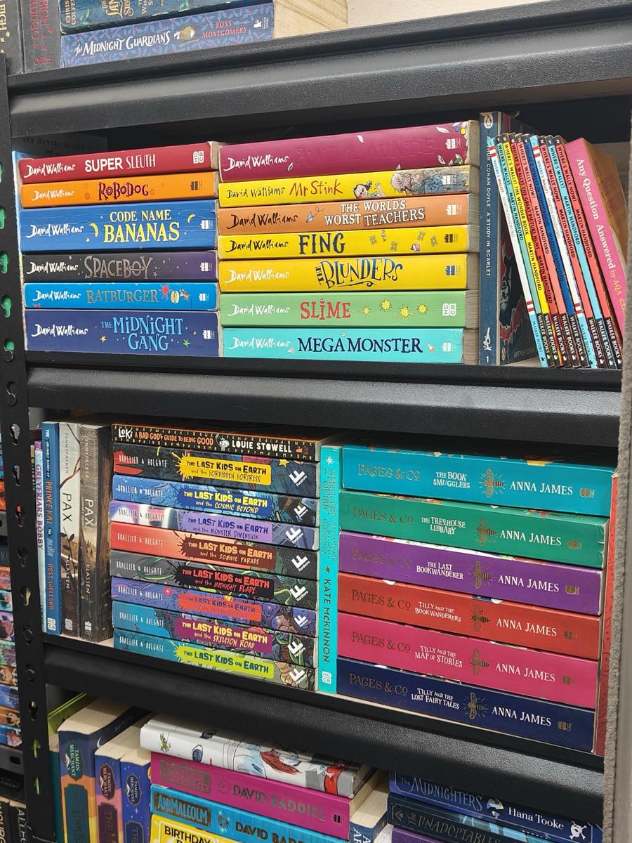Shelves of colourful children's paperbacks at the library